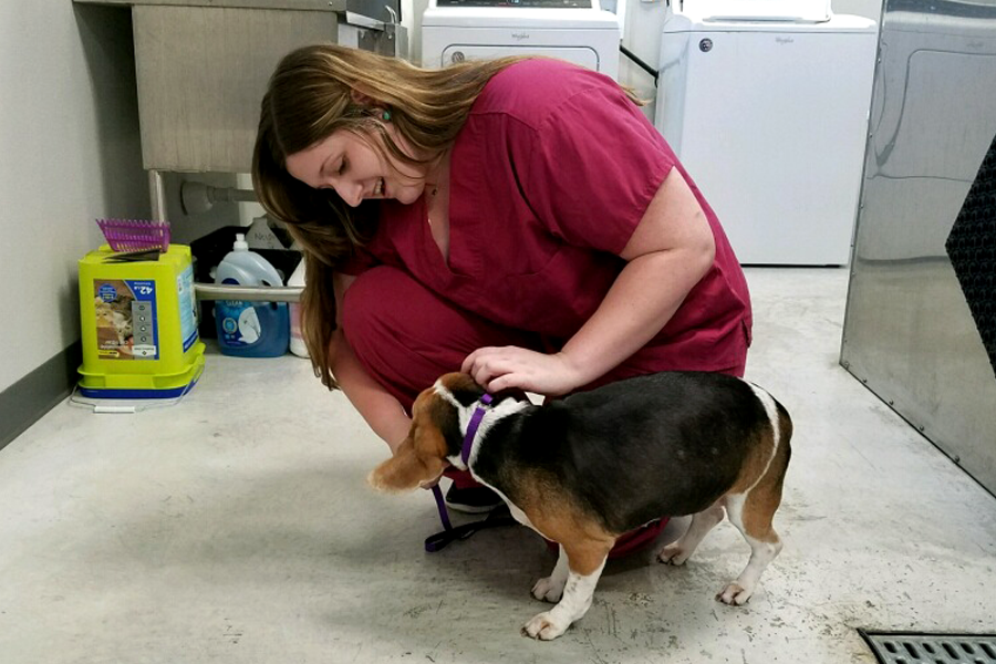 Senior Elizabeth Schultz plays with one of the dogs at Cy Fair Animal Hospital, where she works 15-20 hours a week. 