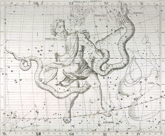 The constellation Ophiuchus truly refers to the man outlined by the stars, but is typically pictured with its neighboring constellation, Serpens, or the Snake.